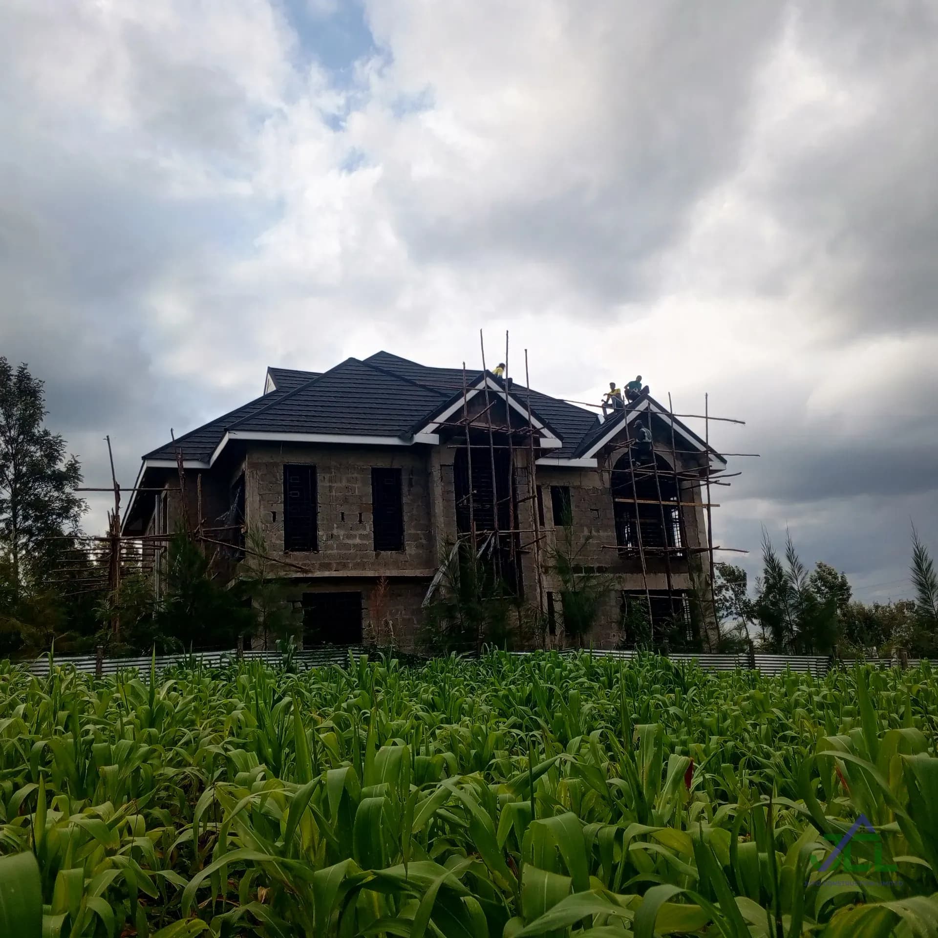 Ngong