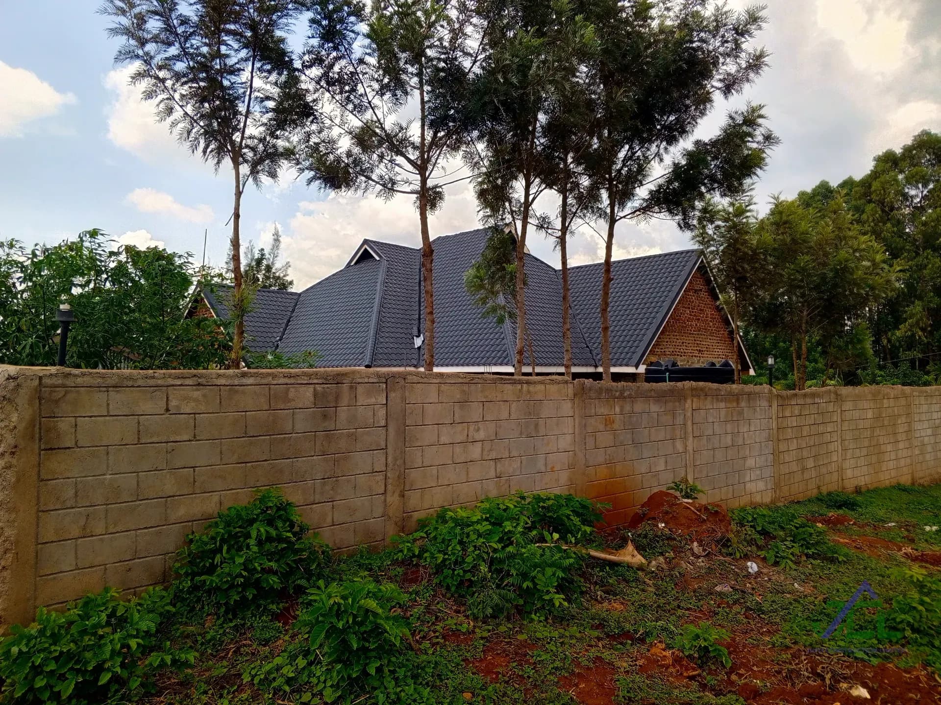 Siaya